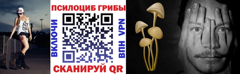 закладки  Буйнакск  Галлюциногенные грибы Magic Shrooms 